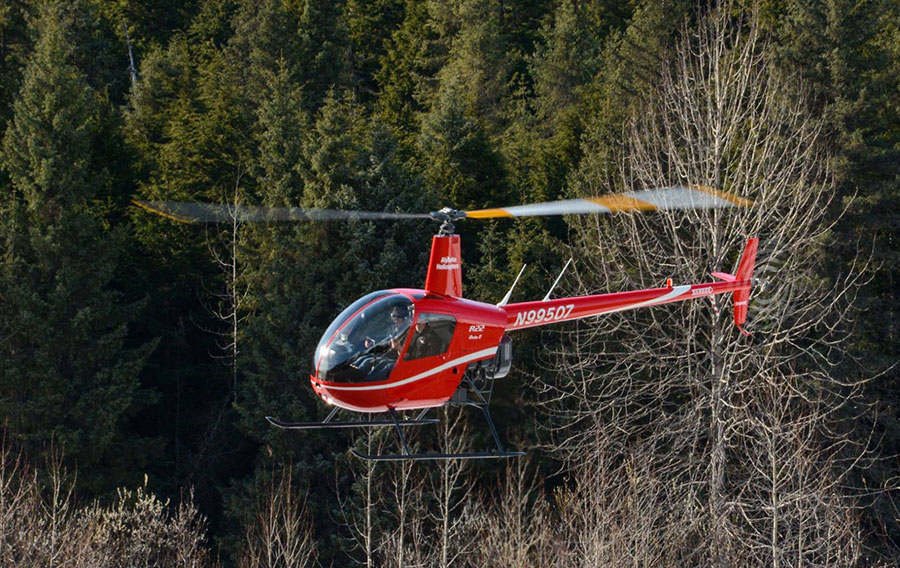 Red helicopter hovers in front of forest.