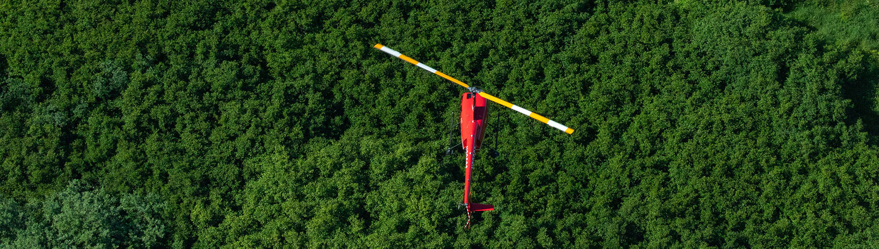 Overhead view of helicopter flying over forest.